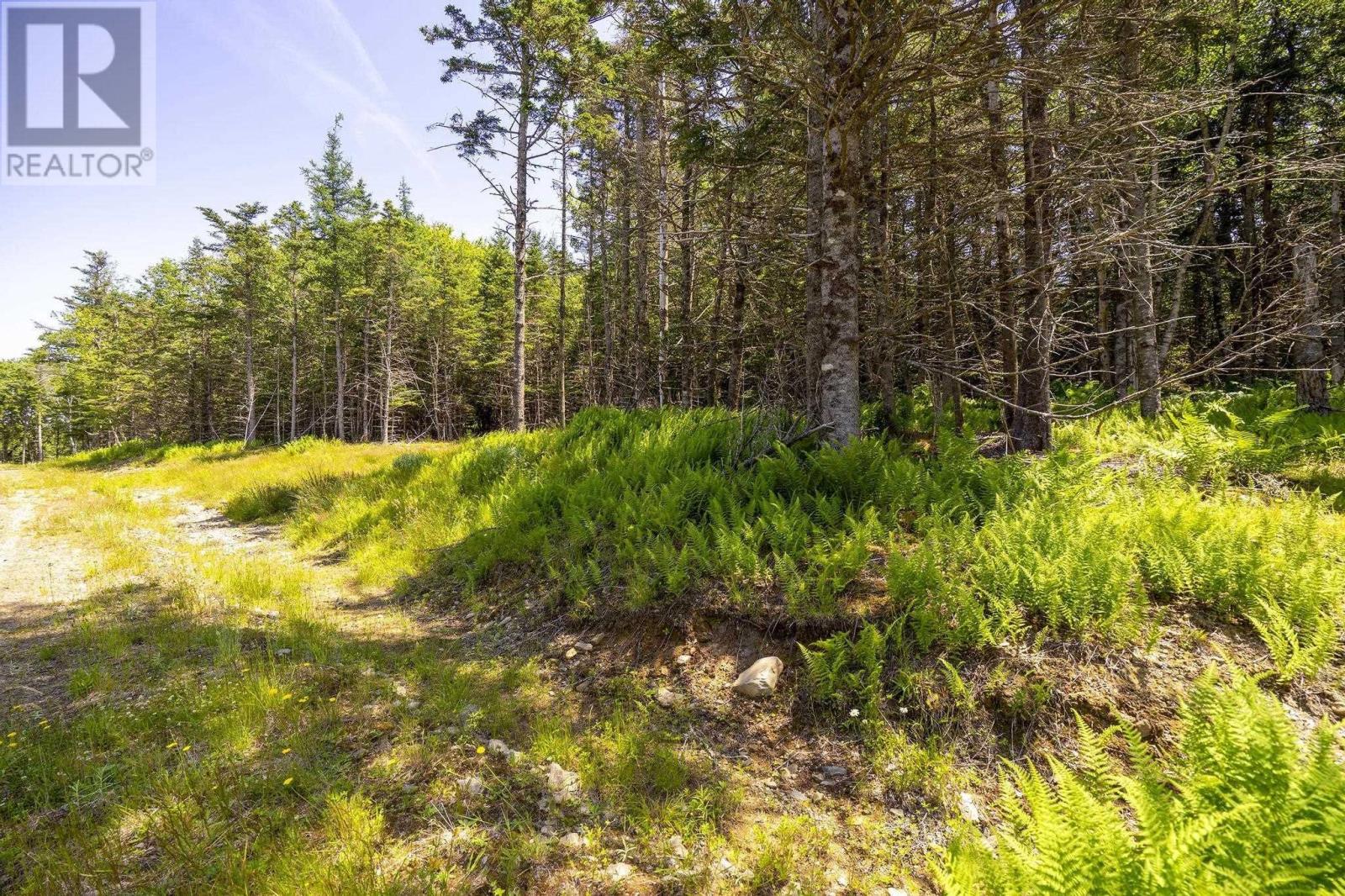 14 Killiam Forest Road, Ireton, Nova Scotia  B5A 5L5 - Photo 37 - 202517403