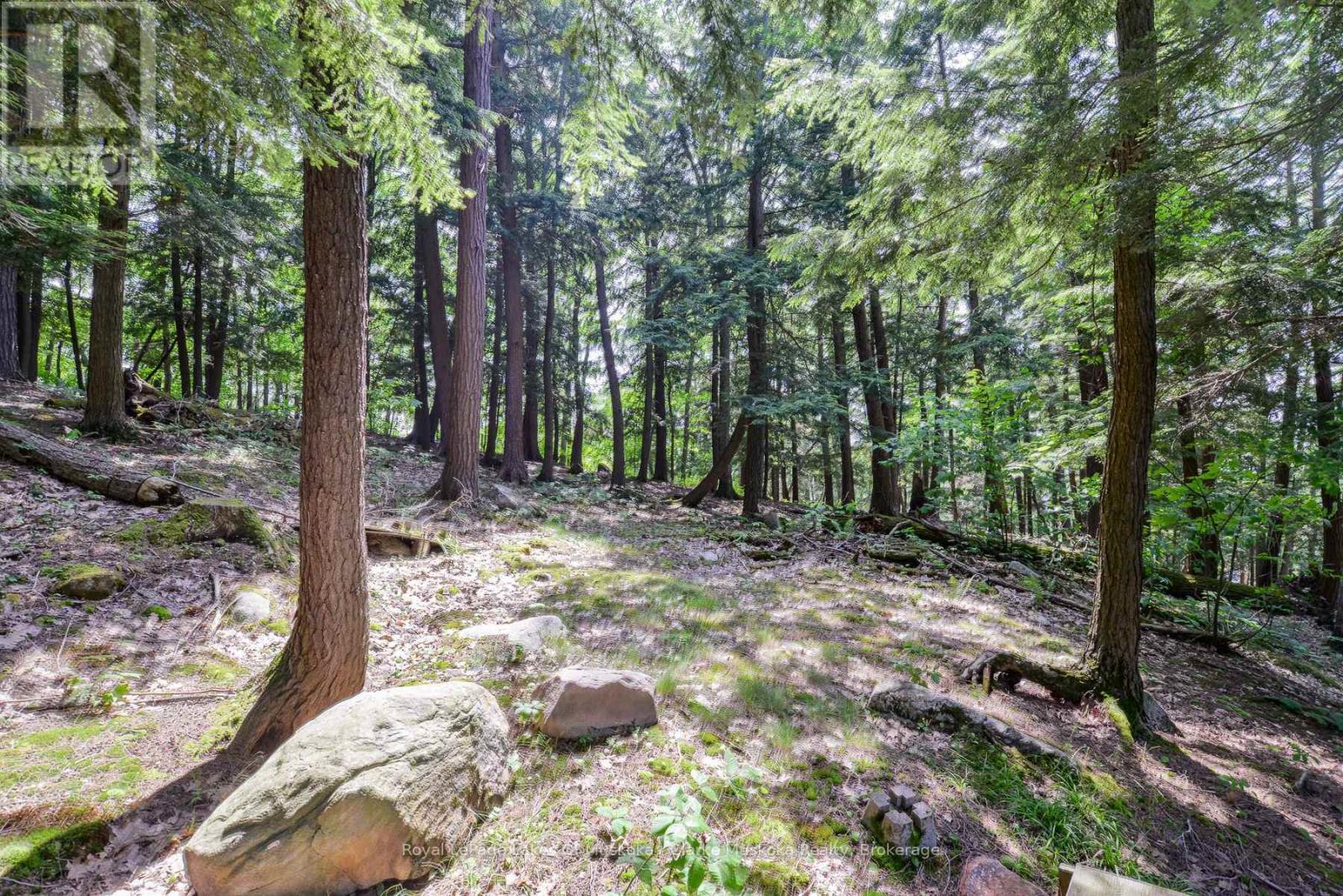 R48 - 2 Beacon Island, Muskoka Lakes, Ontario  P0B 1J0 - Photo 12 - X12151008