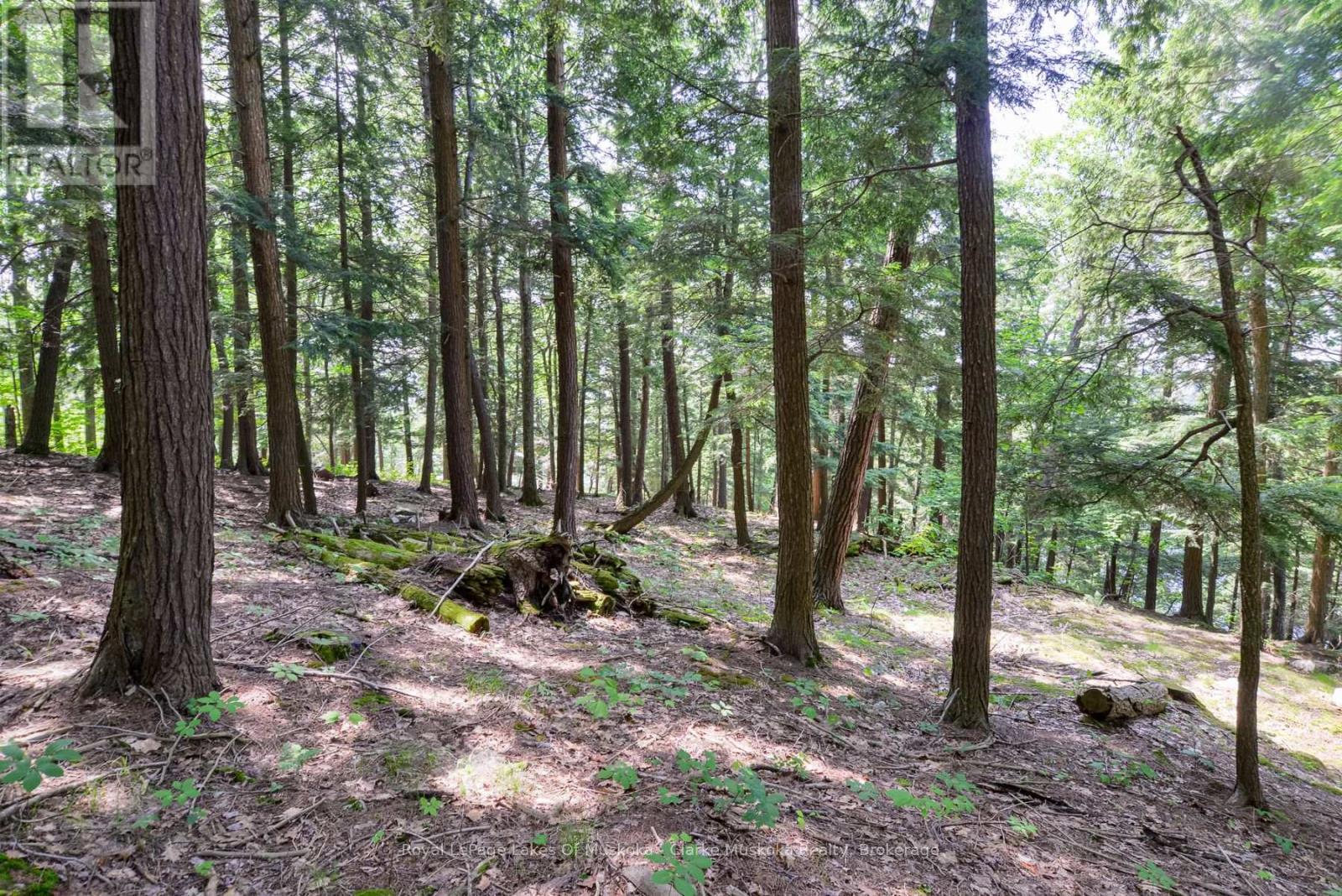 R48 - 2 Beacon Island, Muskoka Lakes, Ontario  P0B 1J0 - Photo 11 - X12151008