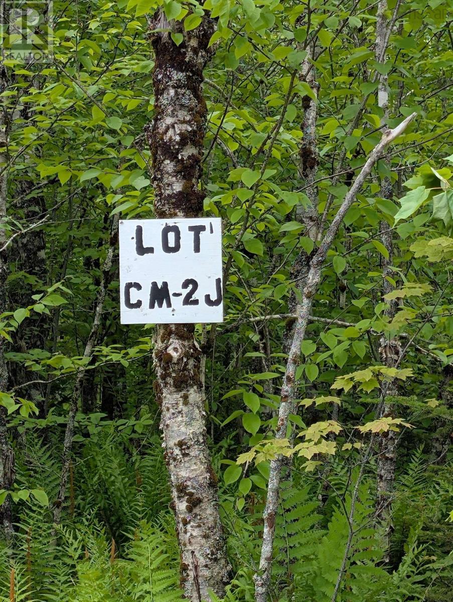 Cm2j Lot Cm2j Mackenzie Lane, Mount Uniacke, Nova Scotia  B0N 1Z0 - Photo 4 - 202514136