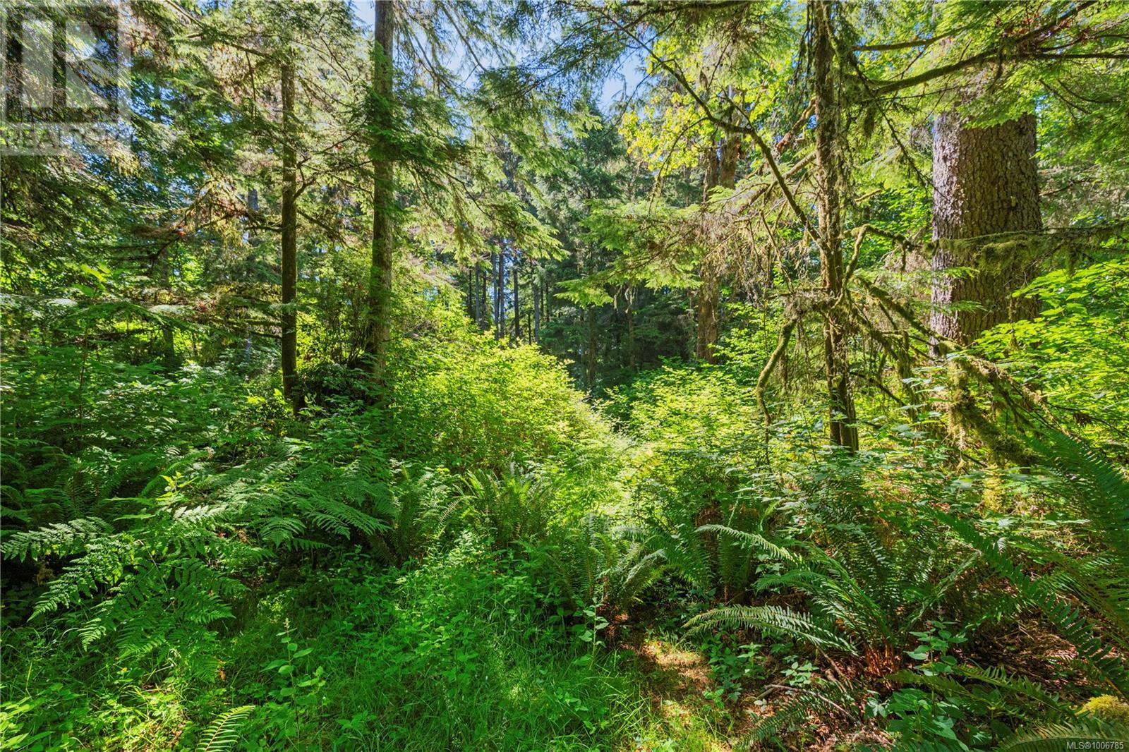 Property at 22767 Kemp Lake Rd image 4