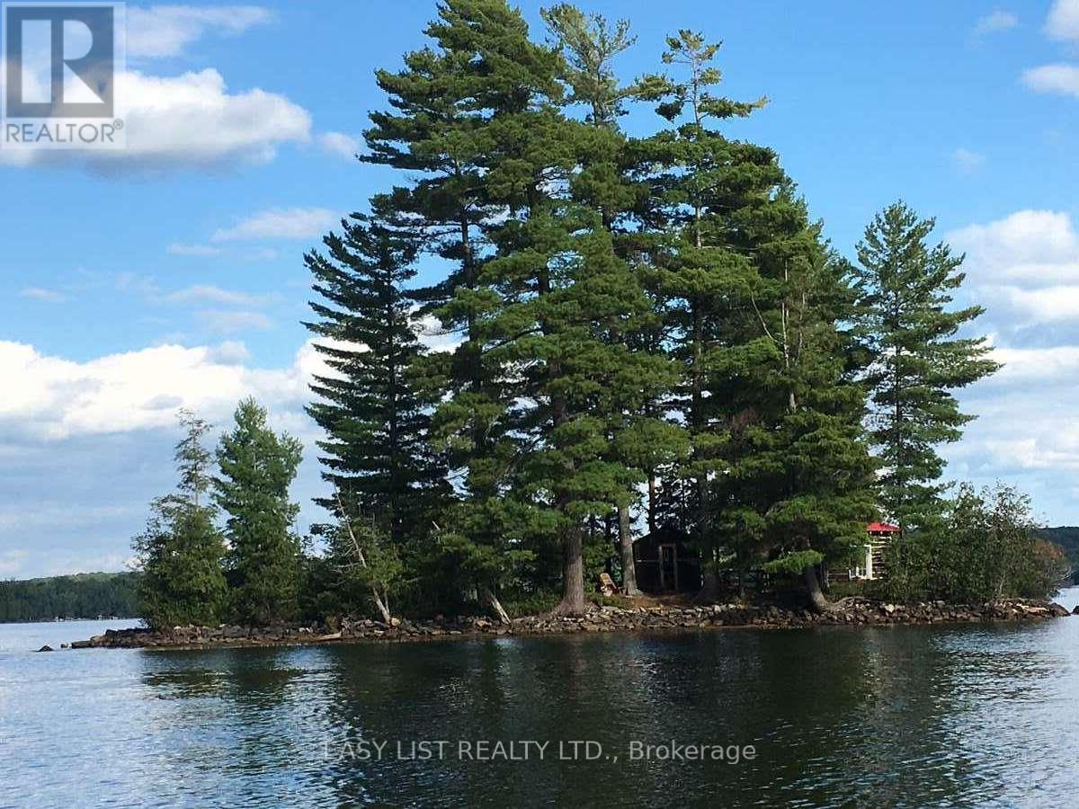 1045 Reynolds Road, Minden Hills, Ontario  K0M 2K0 - Photo 36 - X12279914