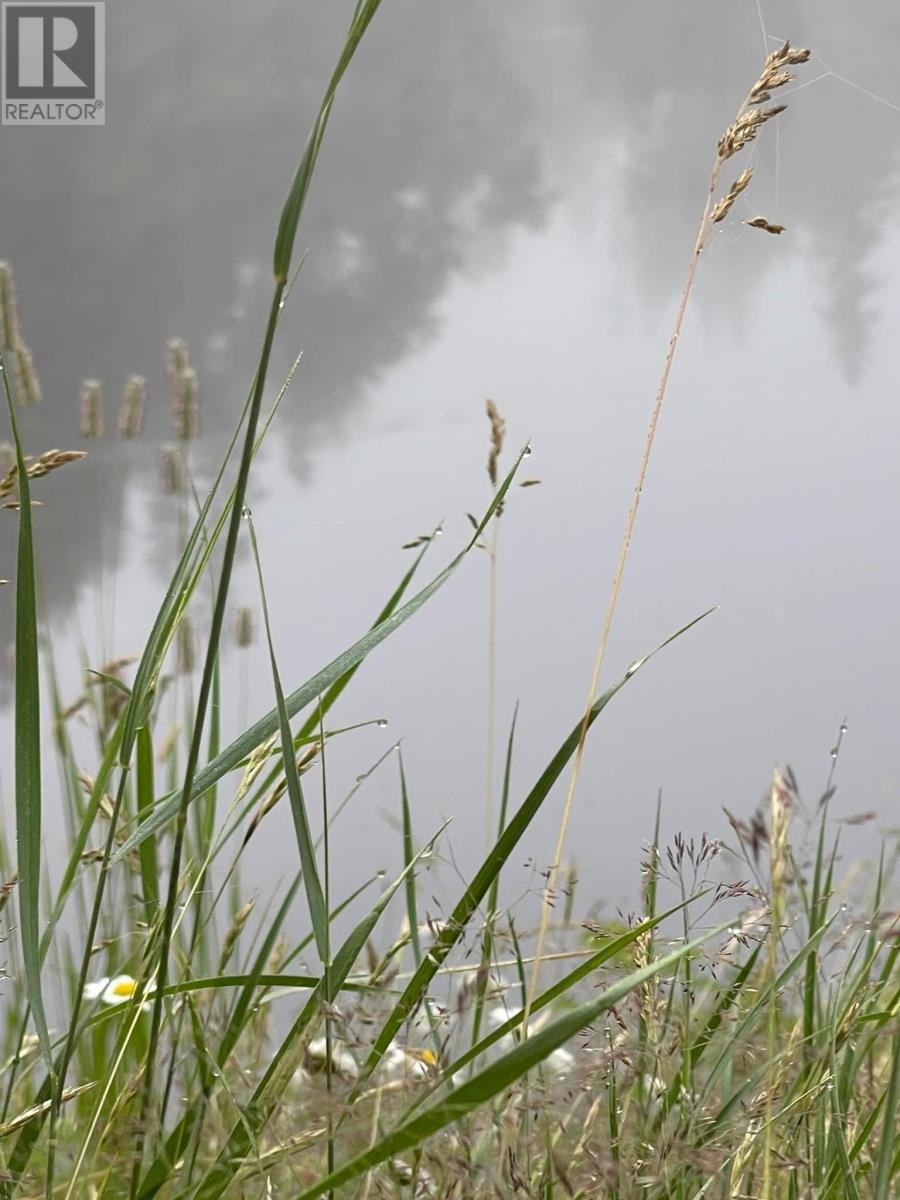 446 Fox River Road, Murray Harbour, Prince Edward Island C0A 1V0 - Photo 43 - 202420142