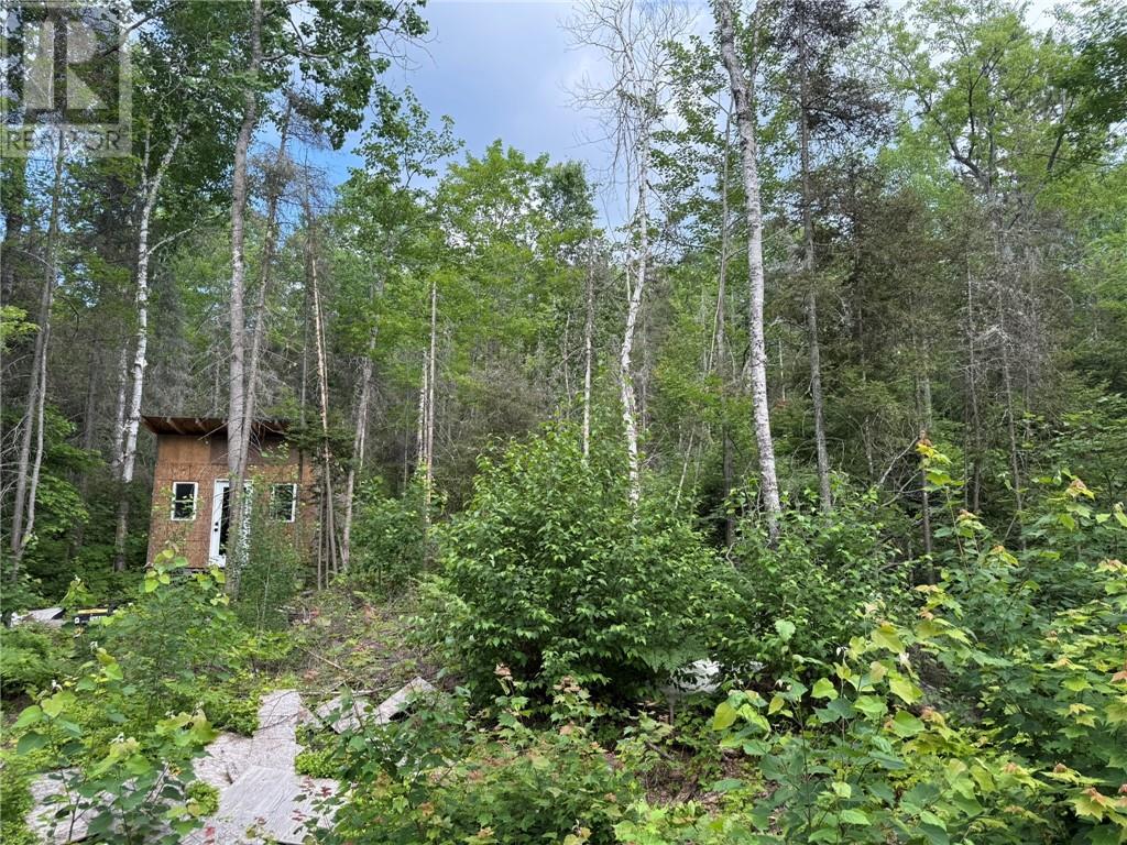 181 Grassy Lake Road, Whitefish, Ontario  P0M 3E0 - Photo 10 - 2123498