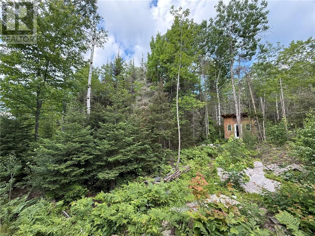181 Grassy Lake Road, Whitefish, Ontario  P0M 3E0 - Photo 11 - 2123498