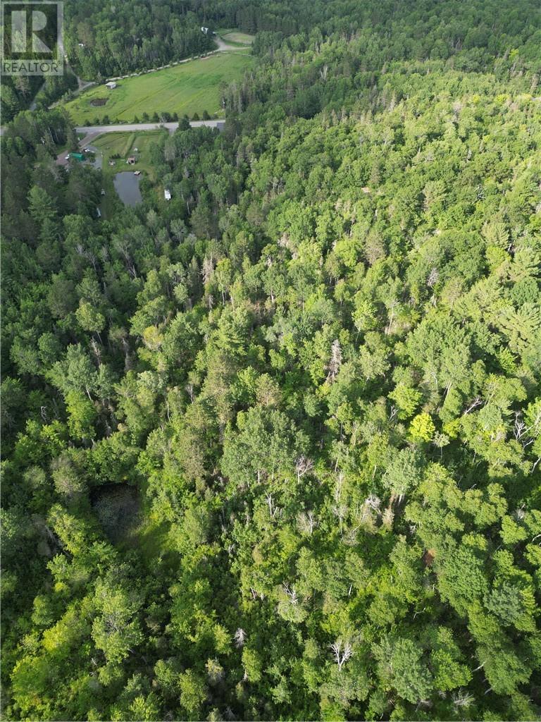 181 Grassy Lake Road, Whitefish, Ontario  P0M 3E0 - Photo 16 - 2123498