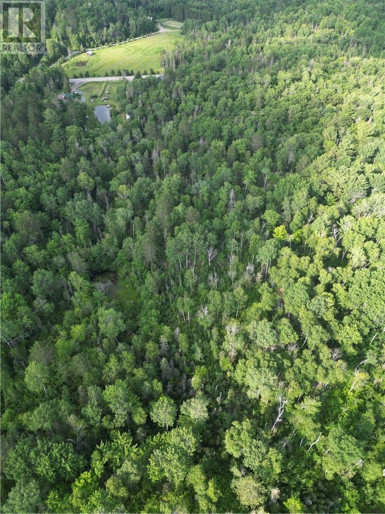 181 Grassy Lake Road, Whitefish, Ontario  P0M 3E0 - Photo 17 - 2123498