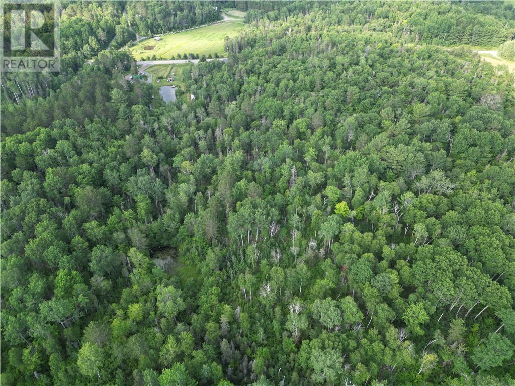 181 Grassy Lake Road, Whitefish, Ontario  P0M 3E0 - Photo 4 - 2123498
