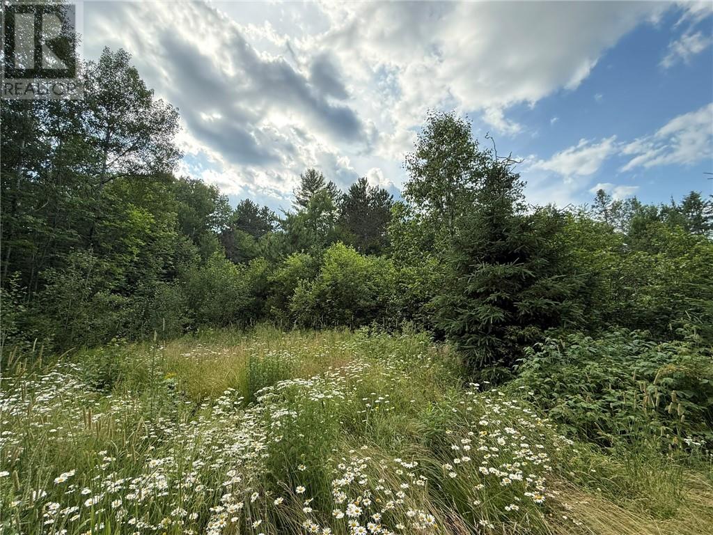 181 Grassy Lake Road, Whitefish, Ontario  P0M 3E0 - Photo 7 - 2123498