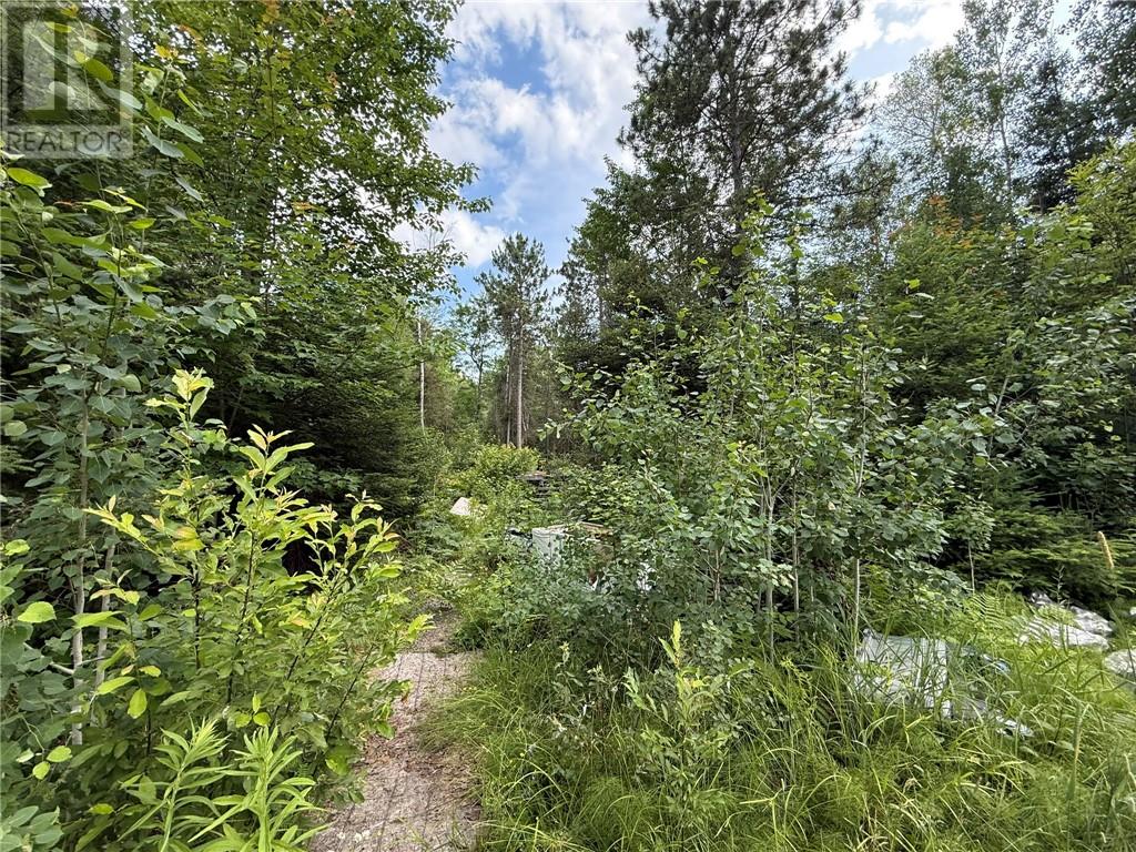 181 Grassy Lake Road, Whitefish, Ontario  P0M 3E0 - Photo 8 - 2123498
