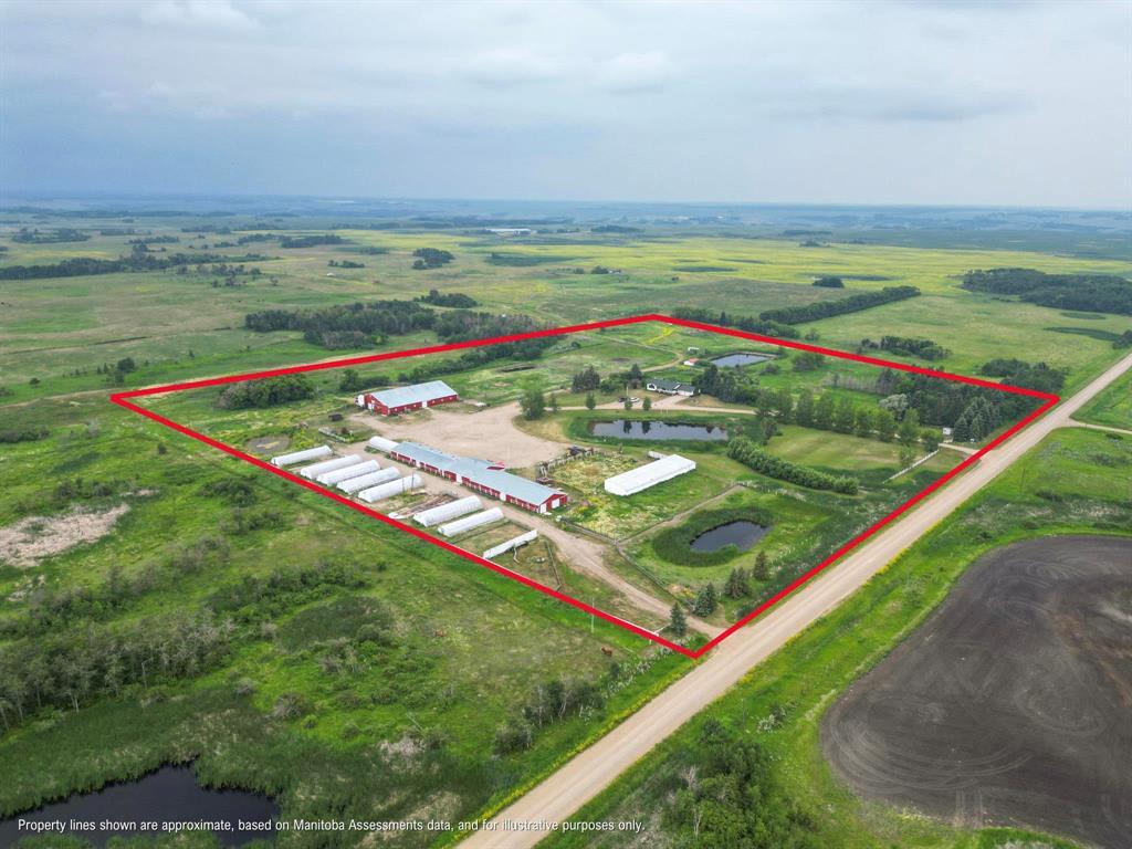 173038 60 (Kola) Road N, Virden, Manitoba