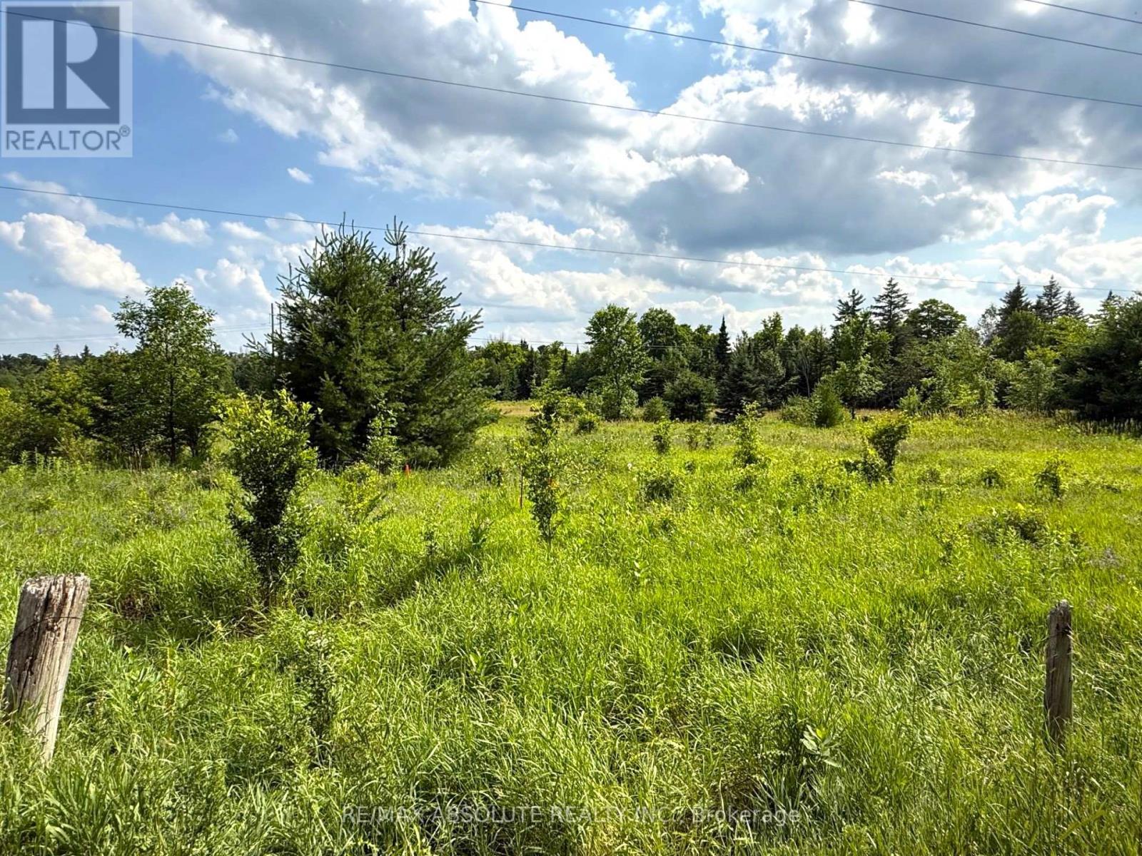 Lorem Ipsum Dolor Sit Amet,, Mcnab/braeside, Ontario  K7S  - Photo 14 - DEMO28595866