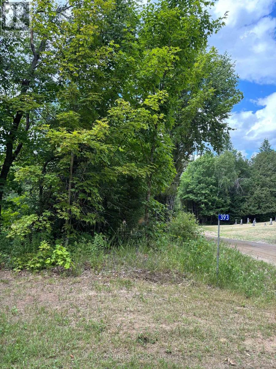 393 ROSE ISLAND ROAD, Wollaston, Ontario