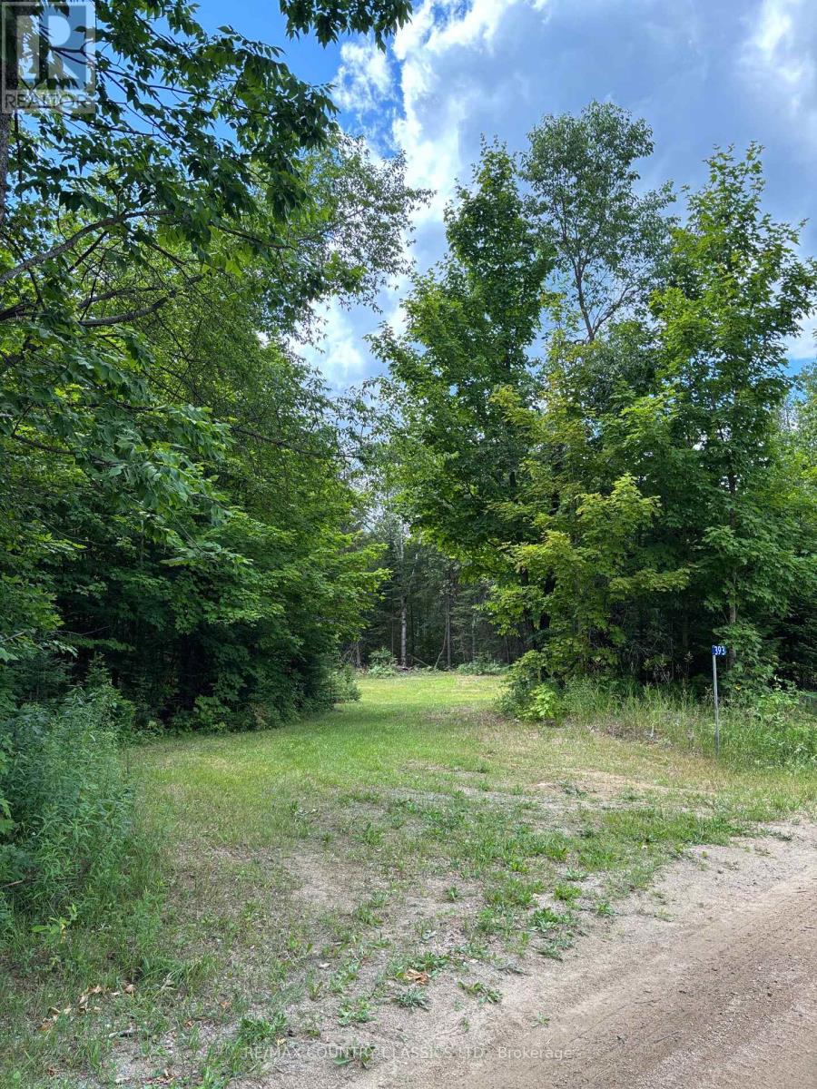 393 Rose Island Road, Wollaston, Ontario  K0L 1P0 - Photo 2 - X12280019