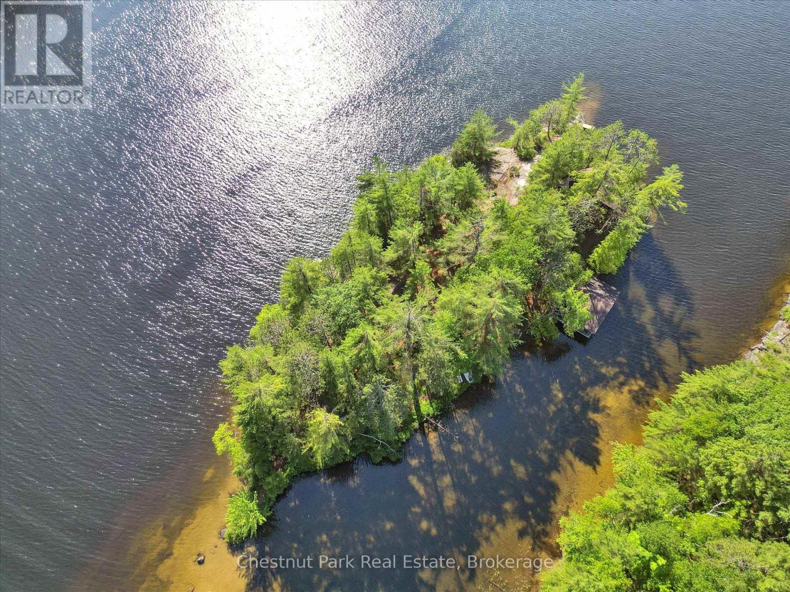 1 Diamond Island, Gravenhurst, Ontario  P1P 1R3 - Photo 4 - X12280494