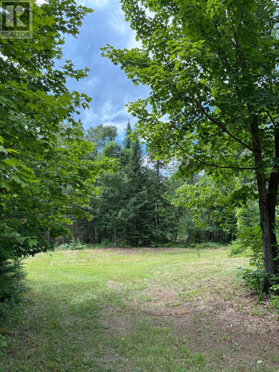 393 Rose Island Road, Wollaston, Ontario  K0L 1P0 - Photo 3 - X12280019