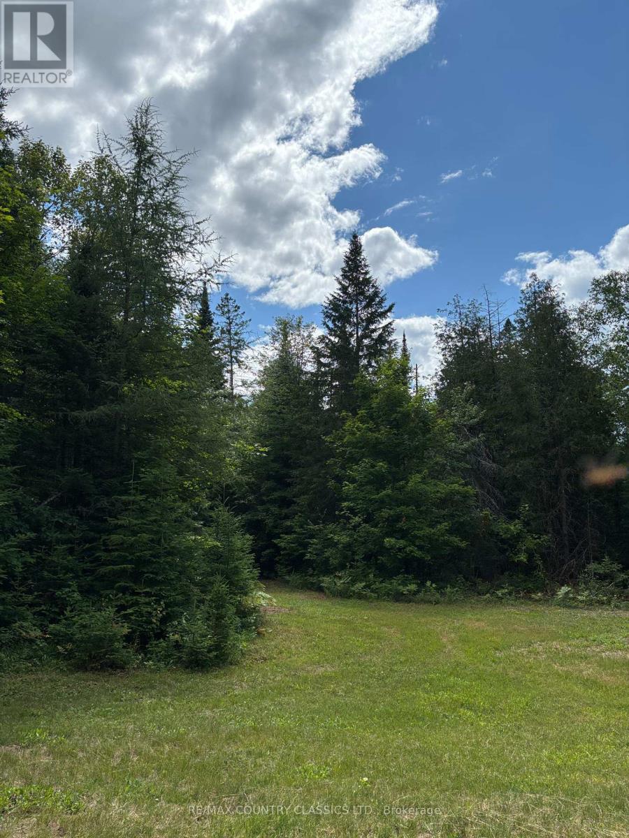 393 Rose Island Road, Wollaston, Ontario  K0L 1P0 - Photo 4 - X12280019