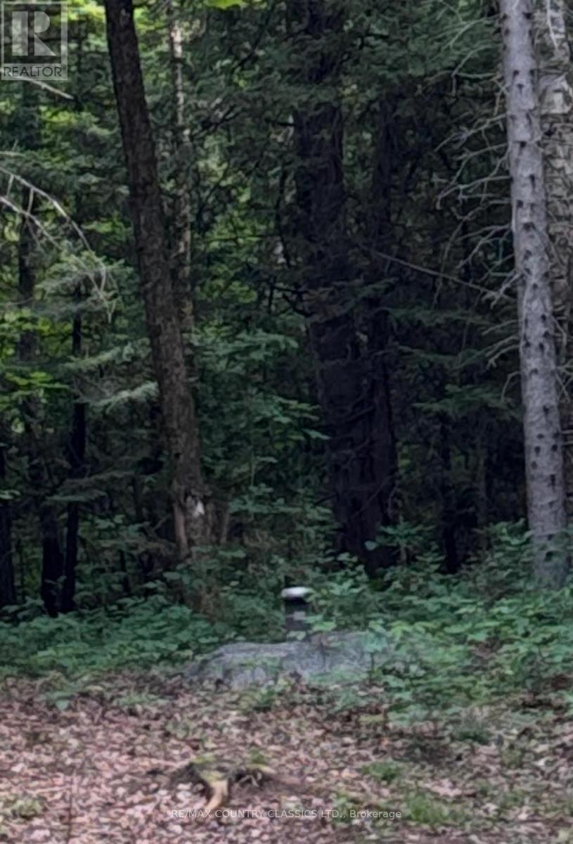 393 Rose Island Road, Wollaston, Ontario  K0L 1P0 - Photo 6 - X12280019