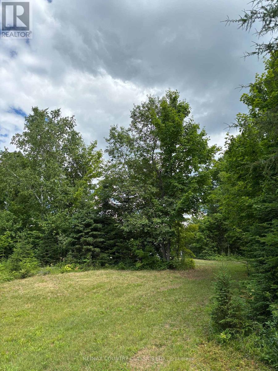 393 Rose Island Road, Wollaston, Ontario  K0L 1P0 - Photo 7 - X12280019