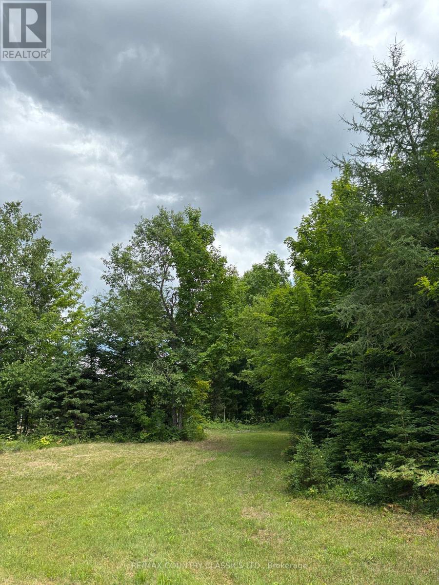 393 Rose Island Road, Wollaston, Ontario  K0L 1P0 - Photo 8 - X12280019