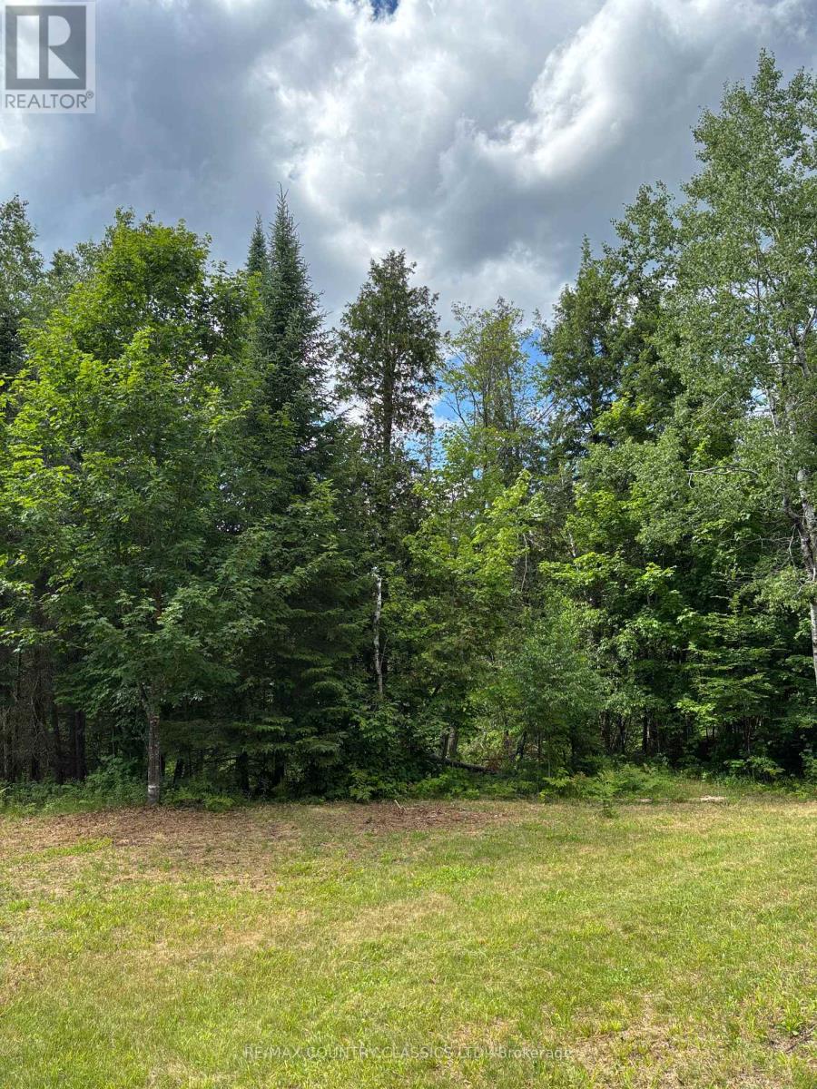 393 Rose Island Road, Wollaston, Ontario  K0L 1P0 - Photo 9 - X12280019