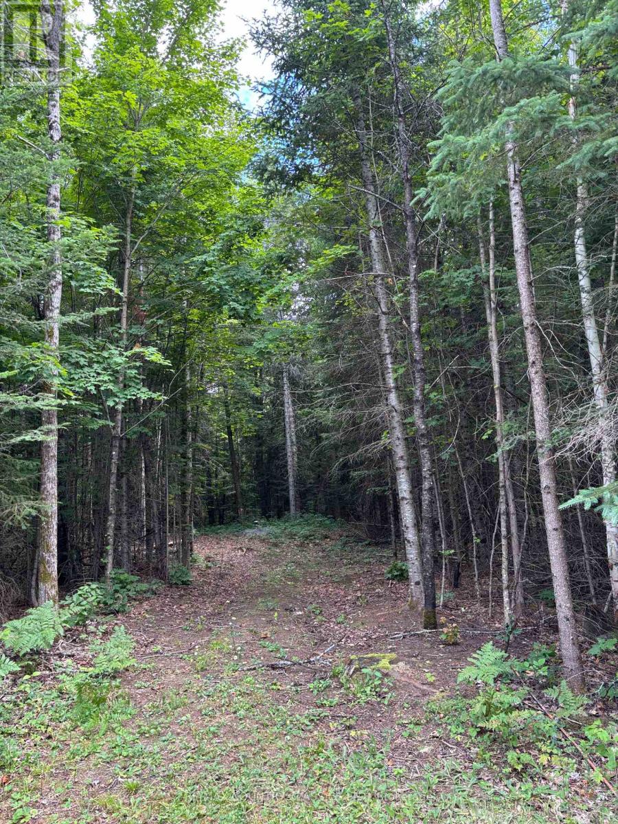 393 Rose Island Road, Wollaston, Ontario  K0L 1P0 - Photo 5 - X12280019