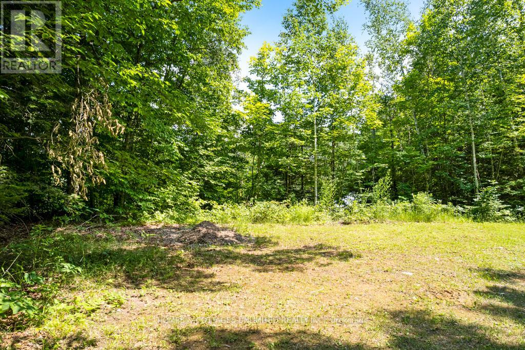 9531 509 Highway, North Frontenac, Ontario  K0H 2J0 - Photo 12 - X12280571