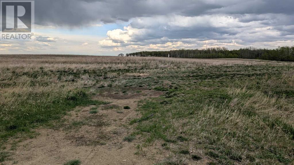 36, 421057 Range Road 284, Rural Ponoka County, Alberta  T0C 2J0 - Photo 6 - A2221882