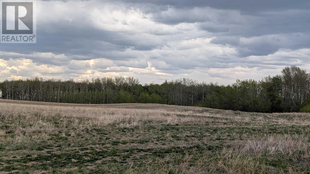 36, 421057 Range Road 284, Rural Ponoka County, Alberta  T0C 2J0 - Photo 9 - A2221882