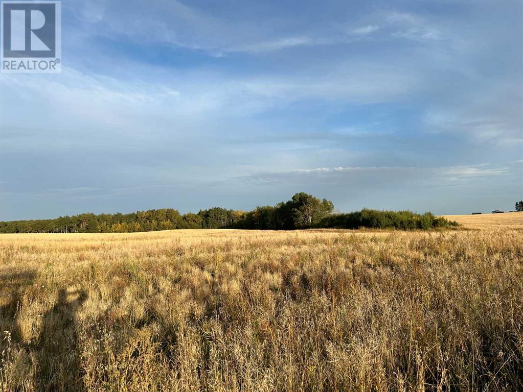 36, 421057 Range Road 284, Rural Ponoka County, Alberta  T0C 2J0 - Photo 2 - A2221882