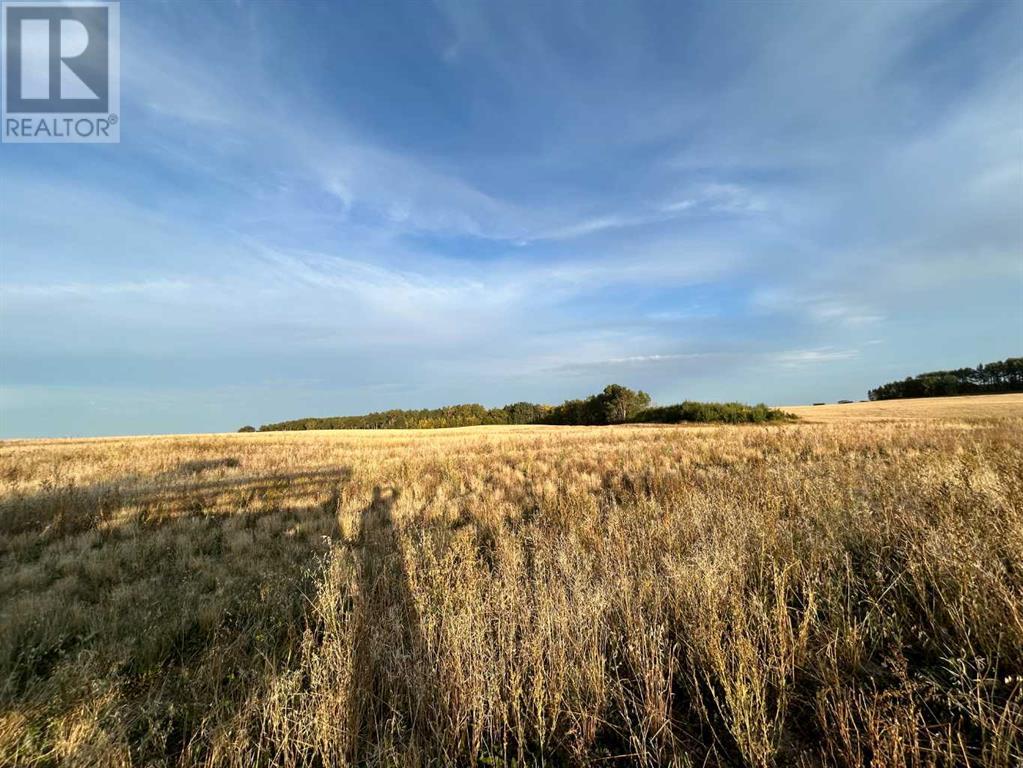 36, 421057 Range Road 284, Rural Ponoka County, Alberta  T0C 2J0 - Photo 5 - A2221882