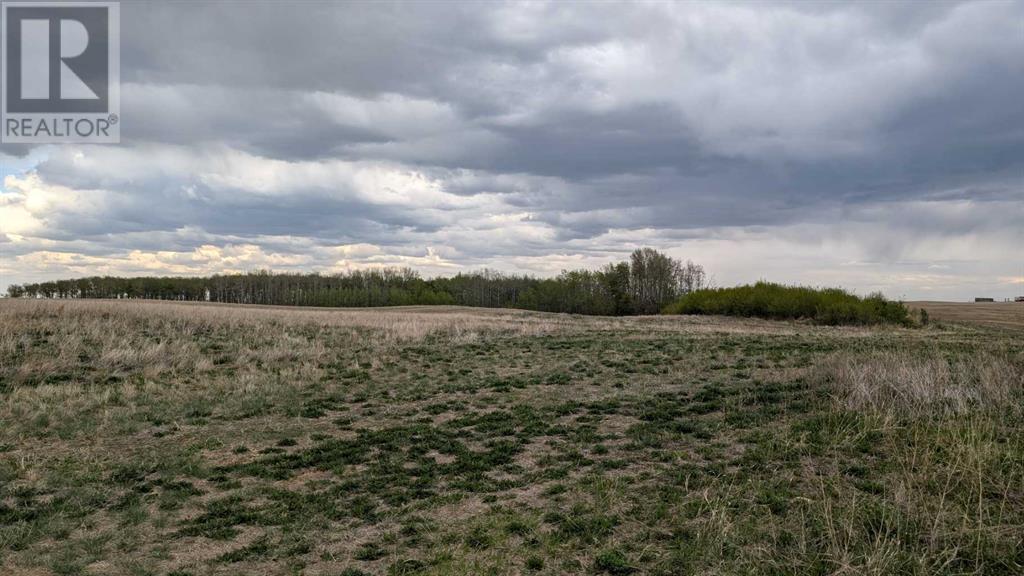 36, 421057 Range Road 284, Rural Ponoka County, Alberta  T0C 2J0 - Photo 7 - A2221882