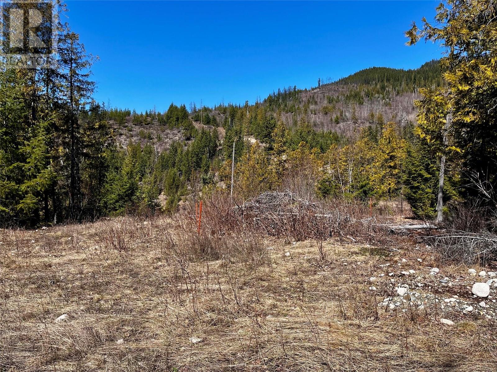 210 Fullmoon Road, Rosebery, British Columbia  V0G 1S1 - Photo 24 - 10335451