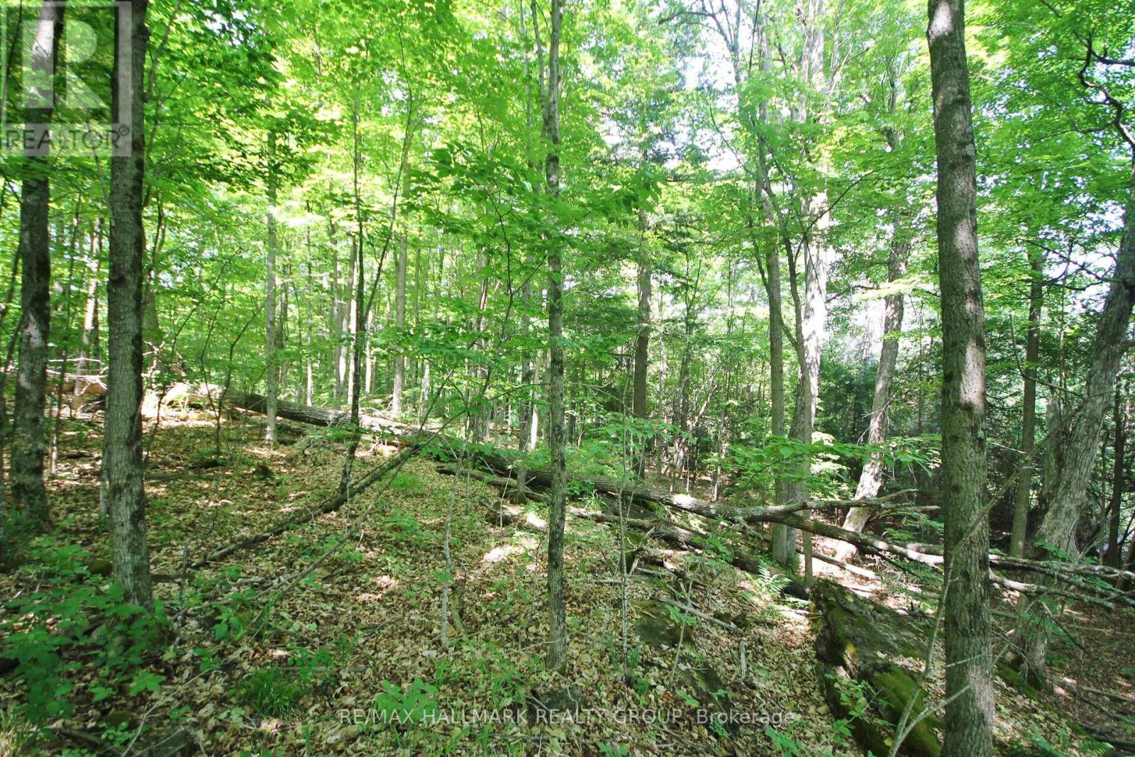 1352 County 43 Road Highway W, Montague, Ontario  K0G 1N0 - Photo 38 - X12226804