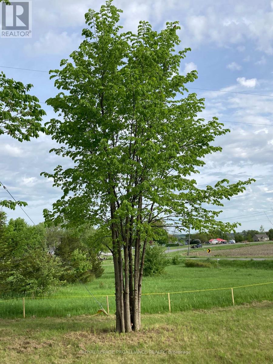 00 South Shore Road, Greater Napanee, Ontario  K7R 3K7 - Photo 6 - X12281003