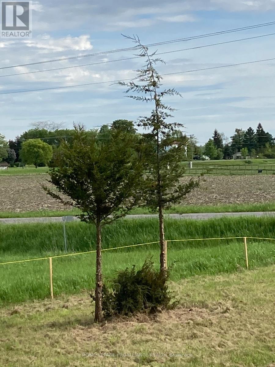 00 South Shore Road, Greater Napanee, Ontario  K7R 3K7 - Photo 8 - X12281003