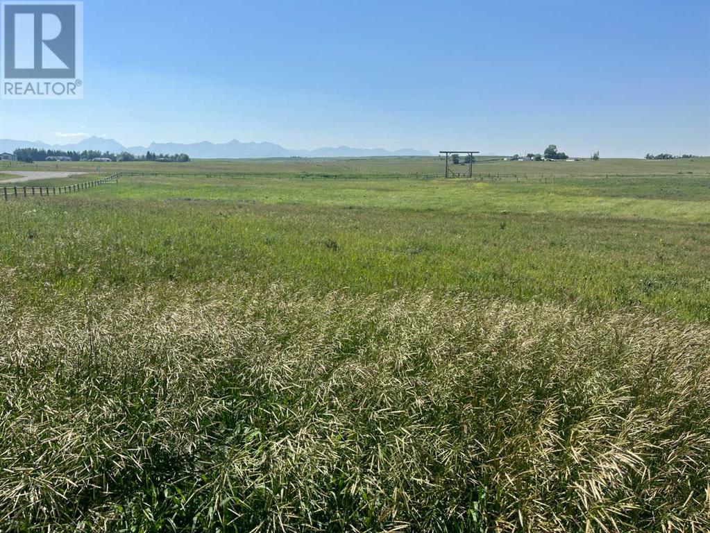 On Nelson Ave Avenue N, Mountain View, Alberta  T0K 1N0 - Photo 3 - A2238896