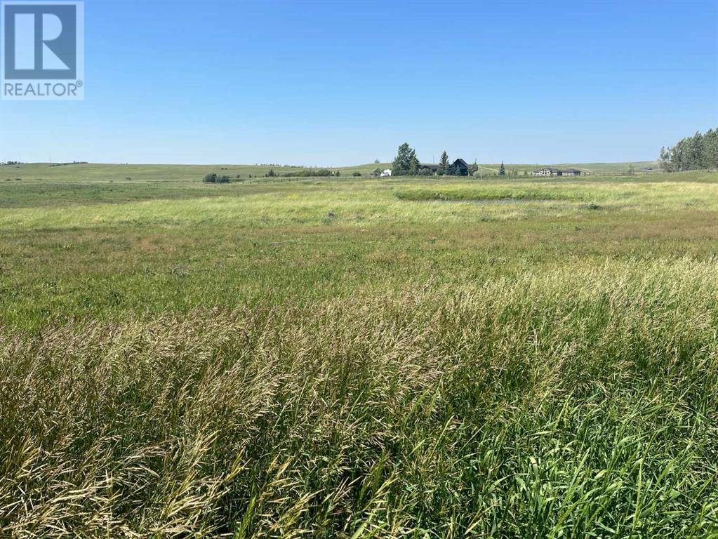 On Nelson Ave Avenue N, Mountain View, Alberta  T0K 1N0 - Photo 5 - A2238896