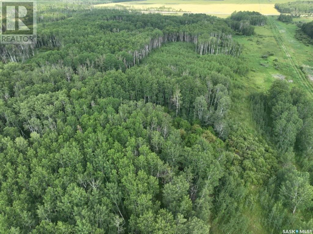 76 Acre Hunters Retreat Land, Hudson Bay Rm No. 394, Saskatchewan  S0E 0Y0 - Photo 1 - SK012454