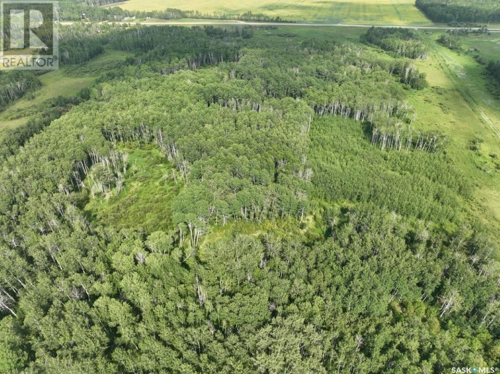 76 Acre Hunters Retreat Land, Hudson Bay Rm No. 394, Saskatchewan  S0E 0Y0 - Photo 7 - SK012454