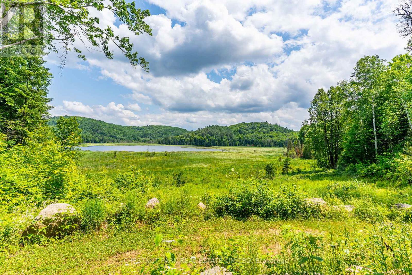 778 Maxwell Settlement Road, Bancroft (Dungannon Ward), Ontario  K0L 1C0 - Photo 40 - X12273237