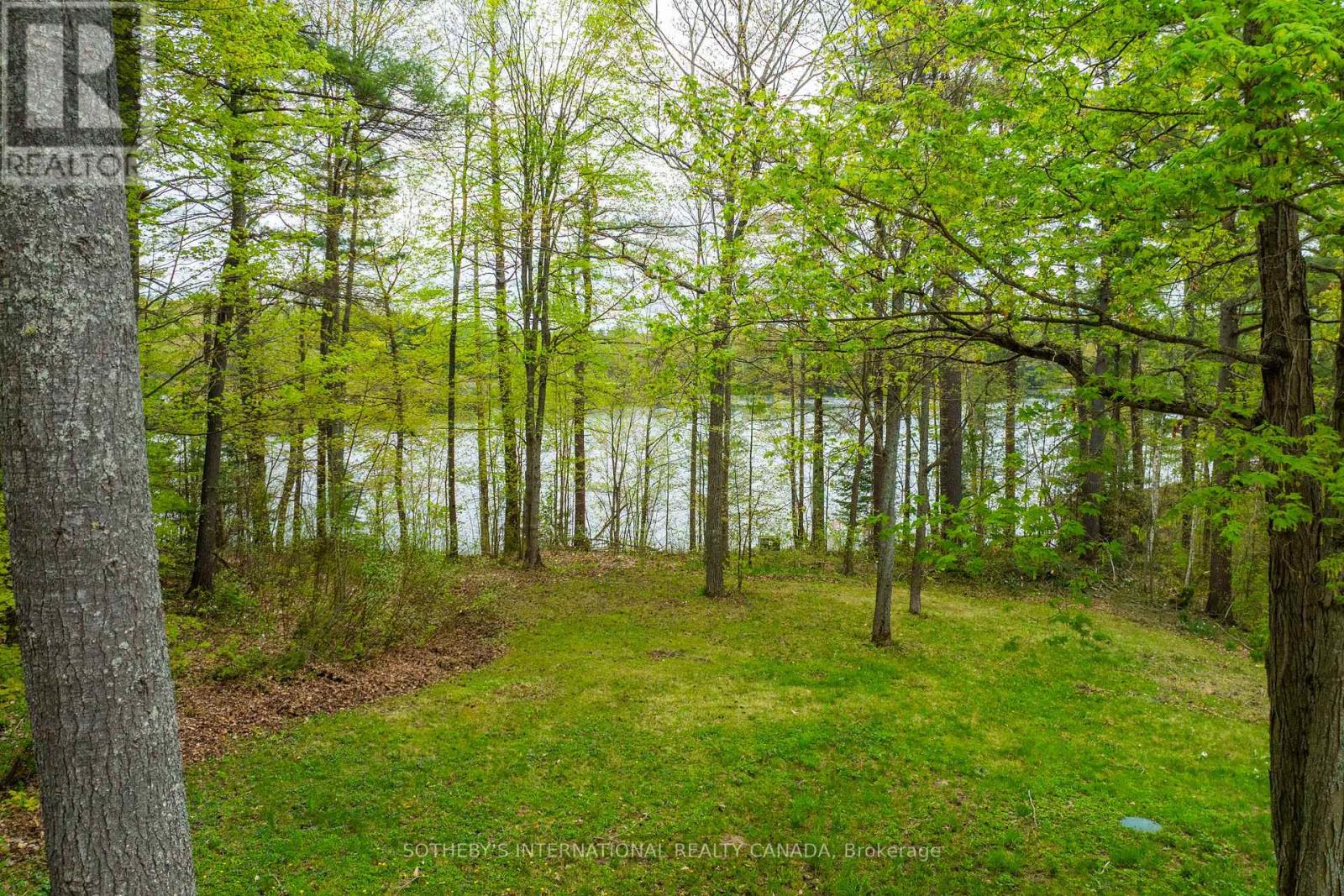 1074 Cooks Road, Gravenhurst (Ryde), Ontario  P1P 1R3 - Photo 8 - X12281026