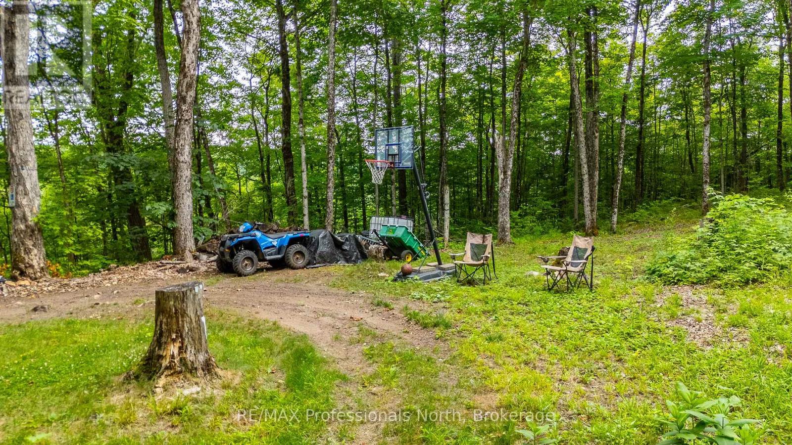 N/a Hendersons Road, Minden Hills (Lutterworth), Ontario  K0M 2K0 - Photo 11 - X12281109