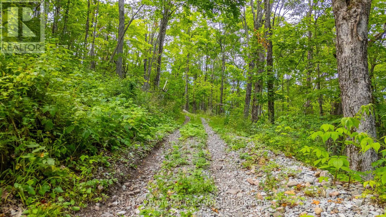 N/a Hendersons Road, Minden Hills (Lutterworth), Ontario  K0M 2K0 - Photo 2 - X12281109