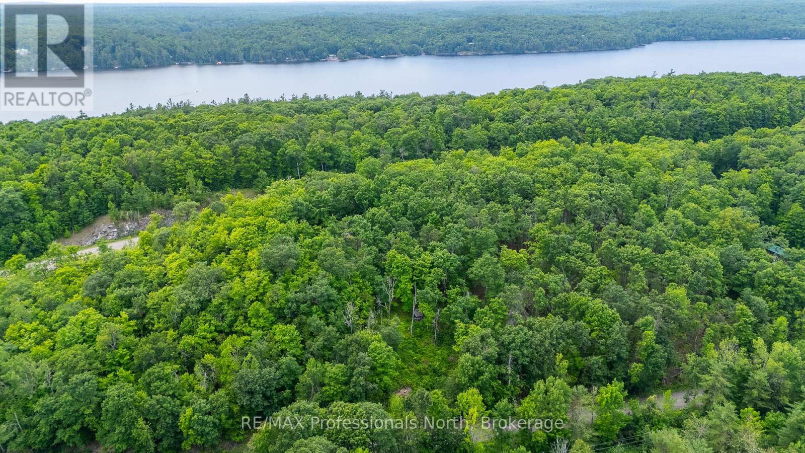 N/a Hendersons Road, Minden Hills (Lutterworth), Ontario  K0M 2K0 - Photo 22 - X12281109