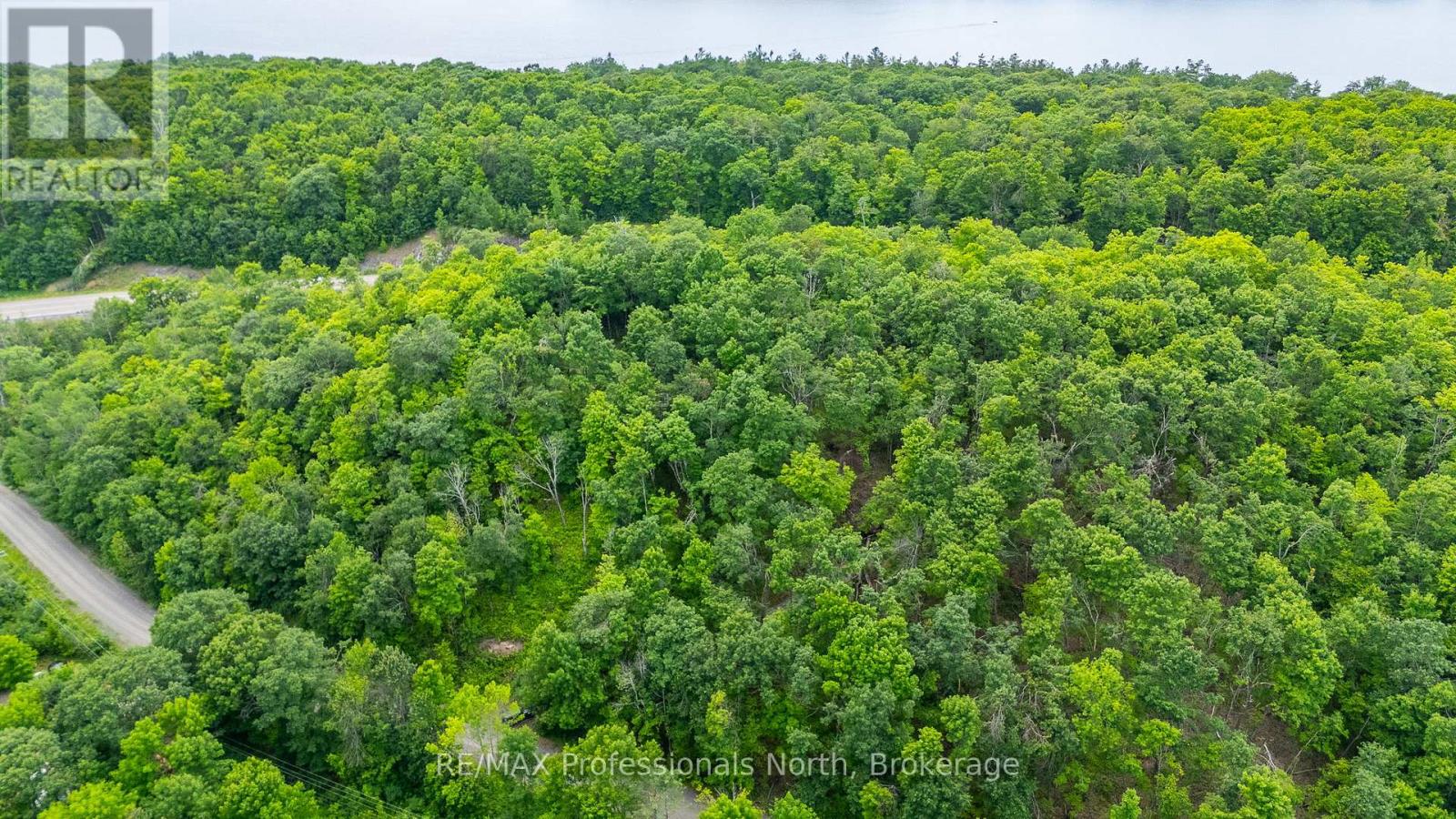 N/a Hendersons Road, Minden Hills (Lutterworth), Ontario  K0M 2K0 - Photo 23 - X12281109