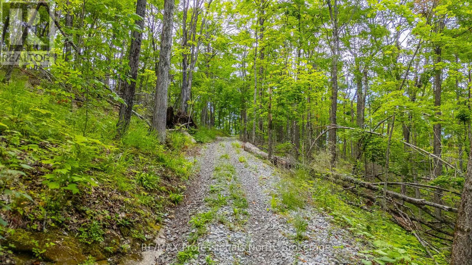 N/a Hendersons Road, Minden Hills (Lutterworth), Ontario  K0M 2K0 - Photo 3 - X12281109
