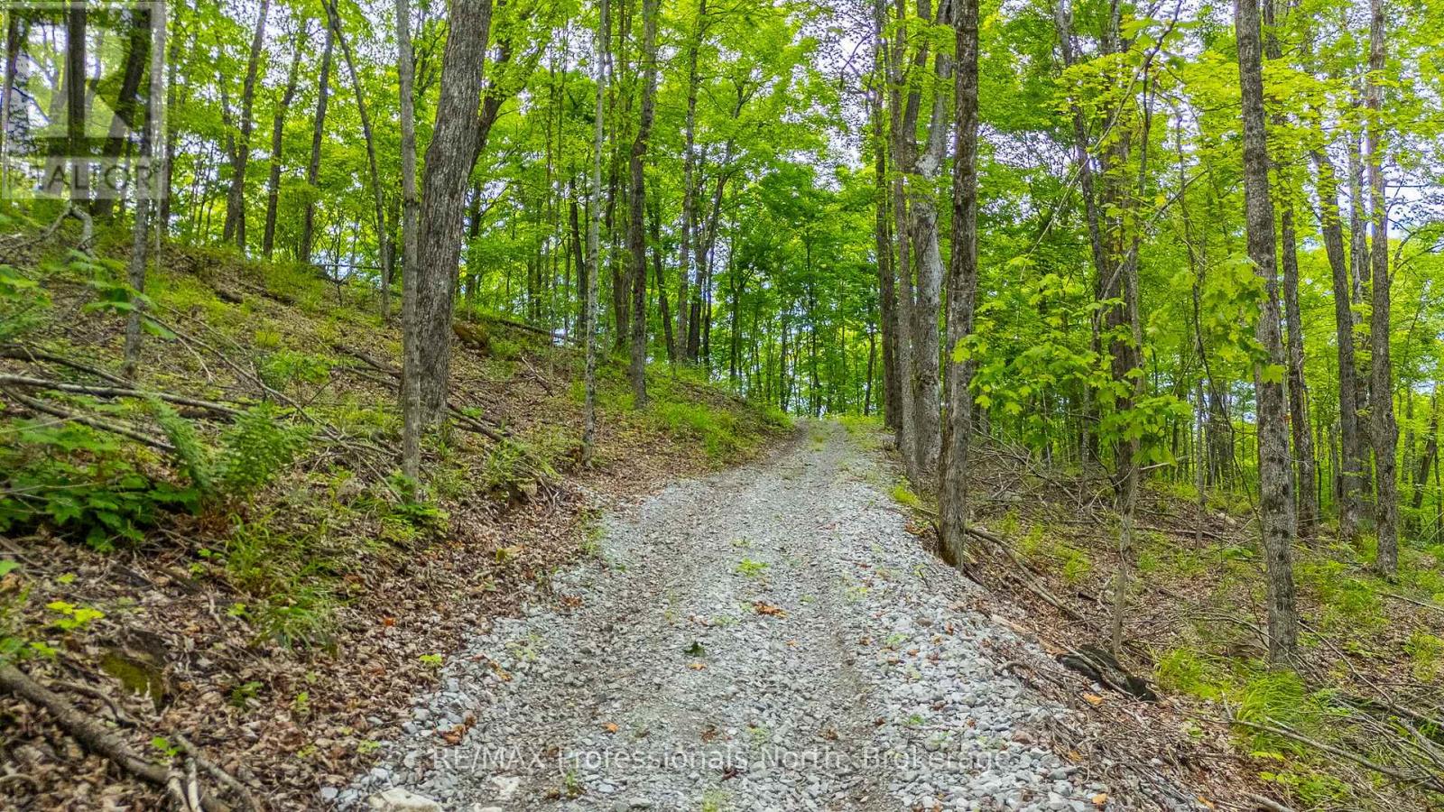 N/a Hendersons Road, Minden Hills (Lutterworth), Ontario  K0M 2K0 - Photo 4 - X12281109