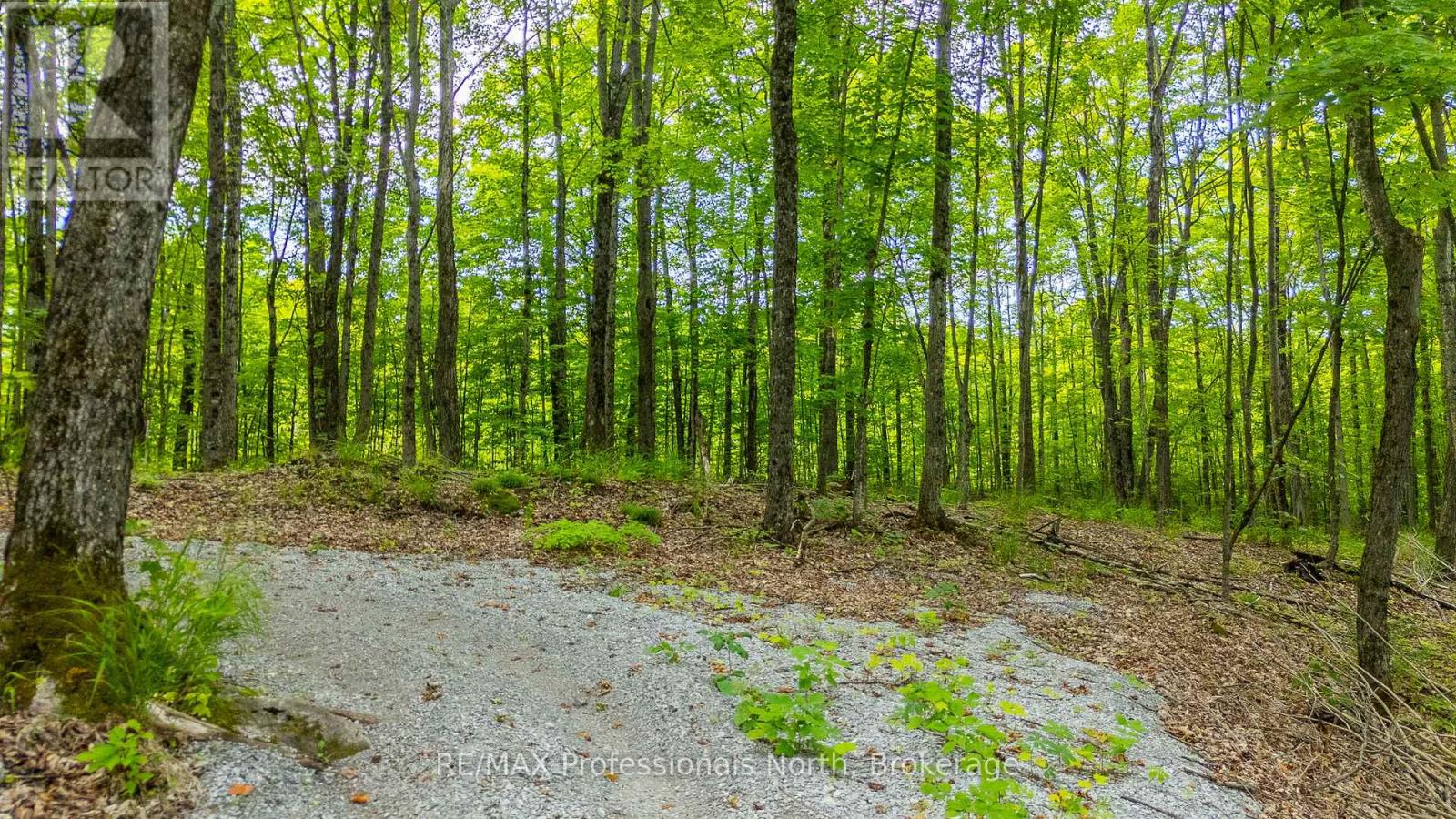 N/a Hendersons Road, Minden Hills (Lutterworth), Ontario  K0M 2K0 - Photo 5 - X12281109