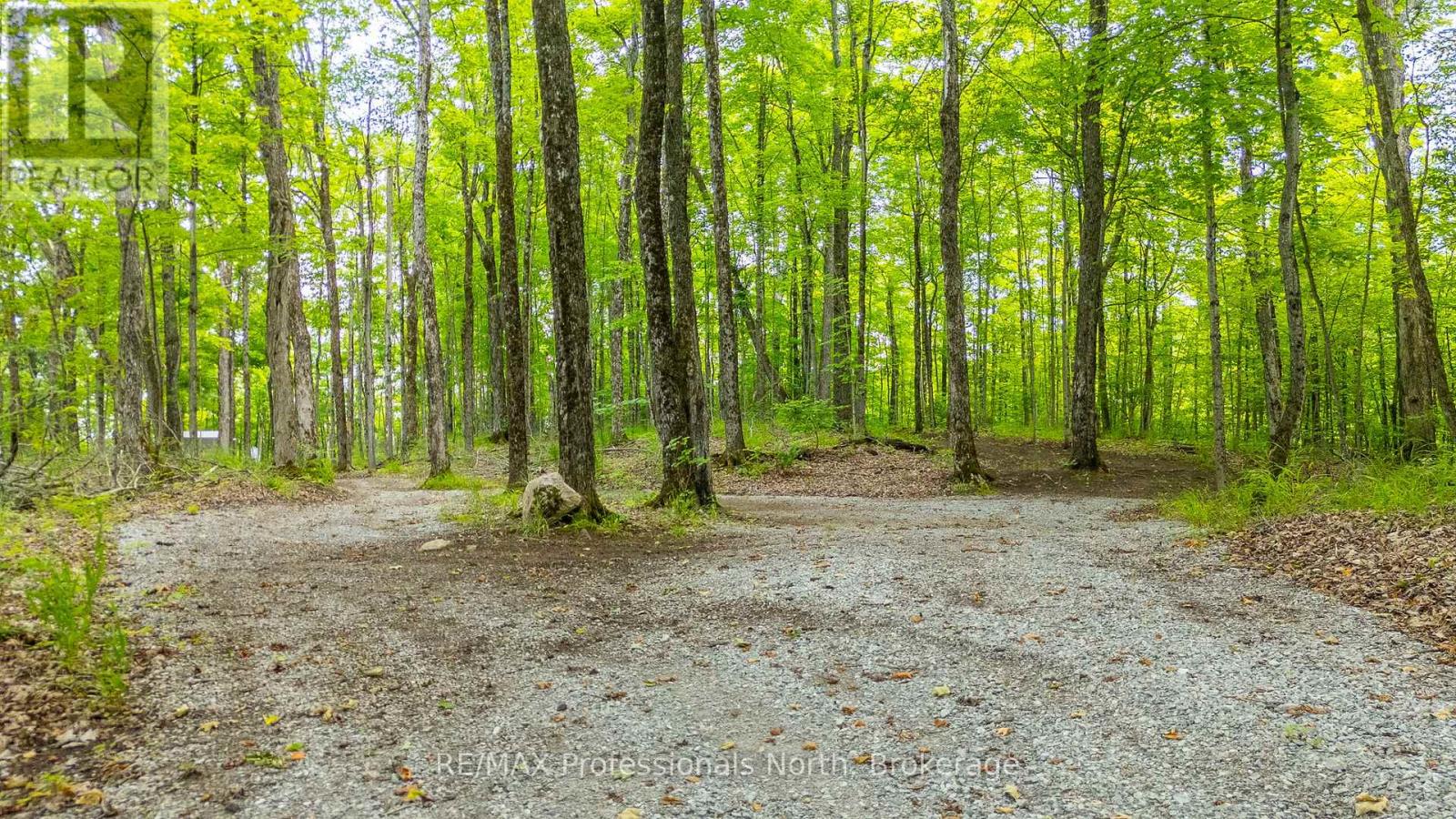 N/a Hendersons Road, Minden Hills (Lutterworth), Ontario  K0M 2K0 - Photo 6 - X12281109